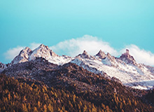 乐鱼：把海的鲜活带回家，开启健康美味的日常